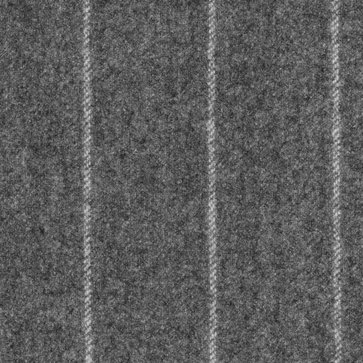 [319023] GREY, STRIPES (DR# 70123)