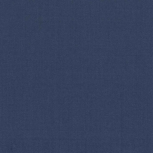 [319159] BLUE, PLAIN (DR# 61059)