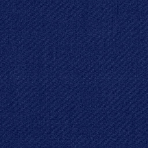 [319239] BLUE, PLAIN (DR# 14039)