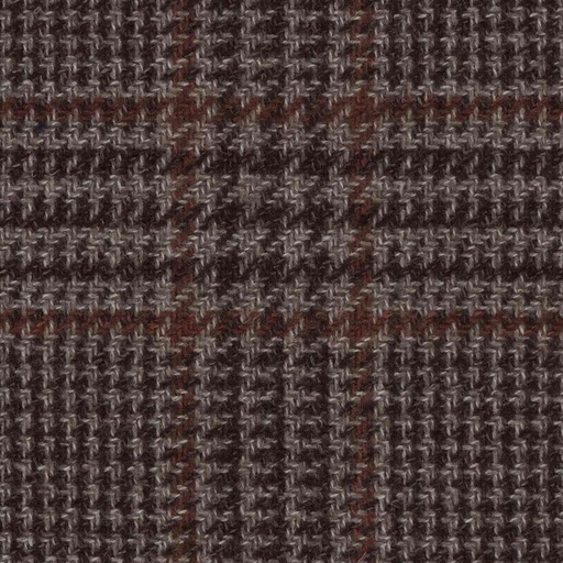 [319326] BROWN, CHECKS 