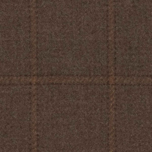 [319343] BROWN, CHECKS 