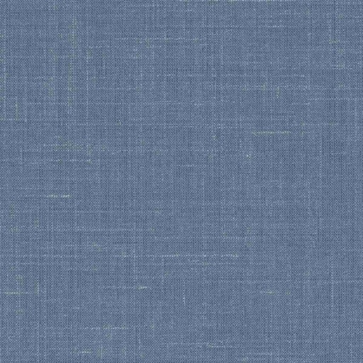 [319630] BLUE, PLAIN (DR# 50430)