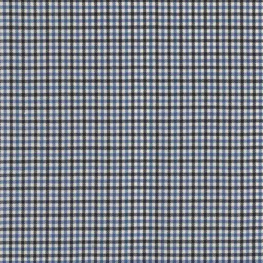 [319909] BLUE, BLACK CHECKS (DR# 17009)