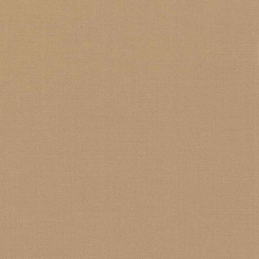 [319954] TAN, PLAIN (DR# 17055)