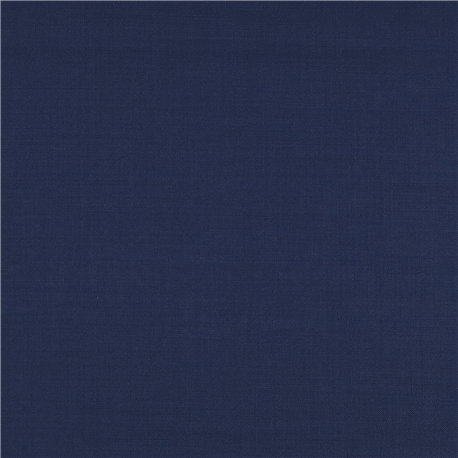 [610007] BLUE,PLAIN (101/07)