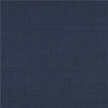 [610014] BLUE,PLAIN (101/14)