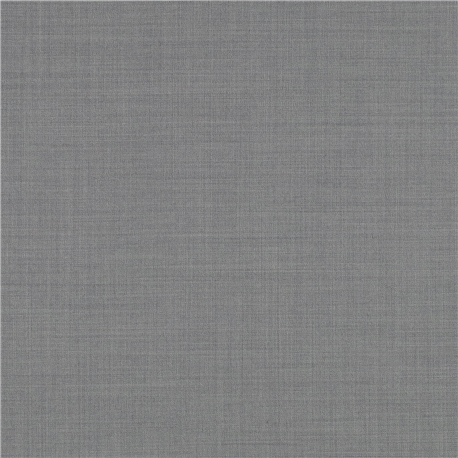 [610017] GREY,PLAIN (101/17)
