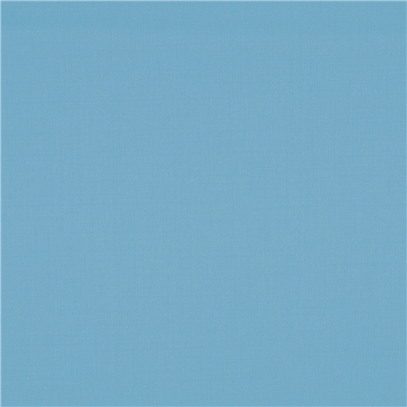 [610069] BLUE,PLAIN (101/69)