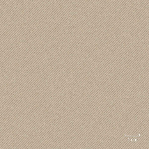 [451606] YELLOW BROWN,PLAIN