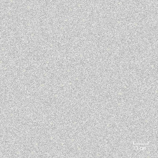 [451615] LIGHT GREY,PLAIN