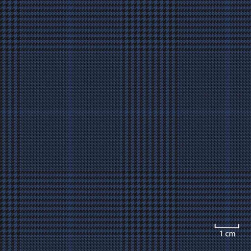 [451645] BLUE,CHECKS