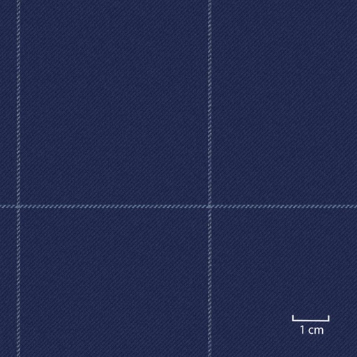 [451665] BLUE,BIG CHECKS