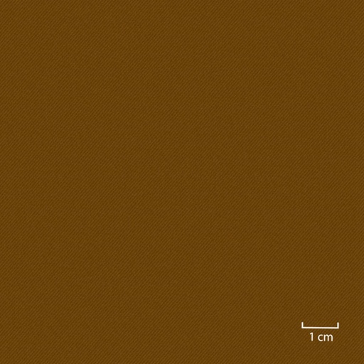 [451705] BROWN,PLAIN