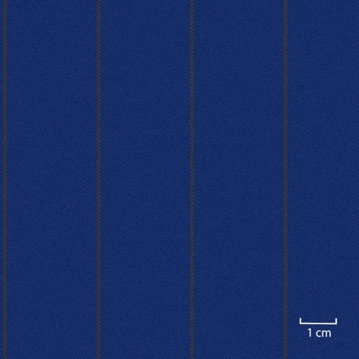 [451725] BLUE,BROWN STRIPES