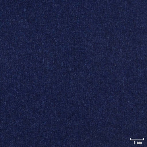[405735] BLUE,PLAIN (16/50)