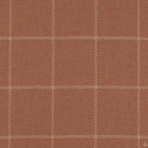 [405902] BROWN,CHECKS (4/78)