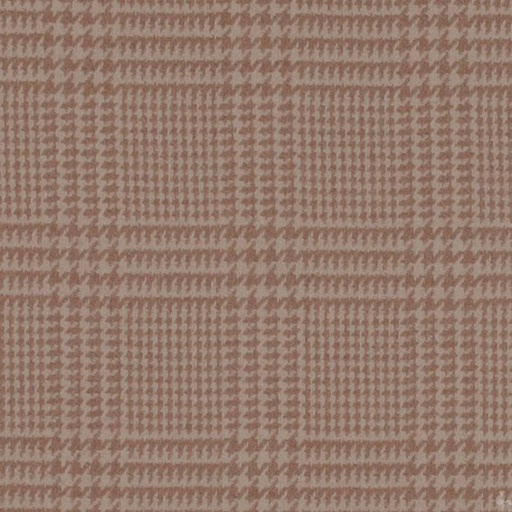 [405909] BROWN,CHECKS (4/84)