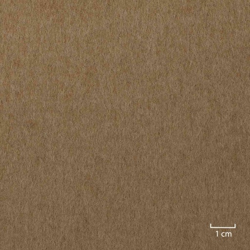 [405929] CAMEL,PLAIN (4/01)