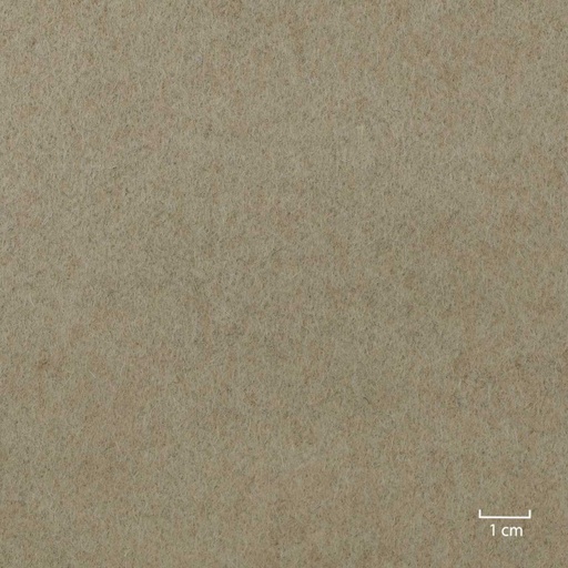 [406001] BEIGE,PLAIN (4/33)