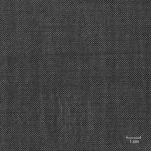 [353607] OFF_WHITE,BLACK PLAIN (ST# 6010)