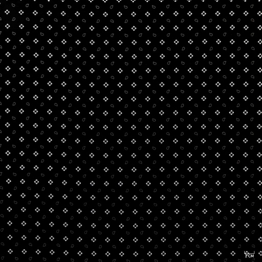 [823947] BLACK, WHITE SMALL FLOWER