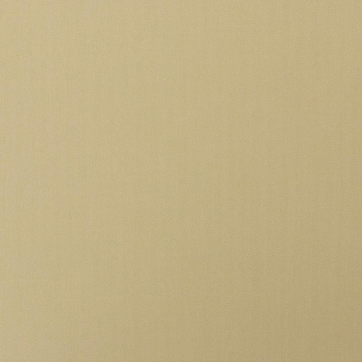 [823957] CHAMPAGNE GOLD, LINING