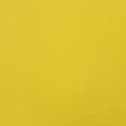 [823960] YELLOW, LINING