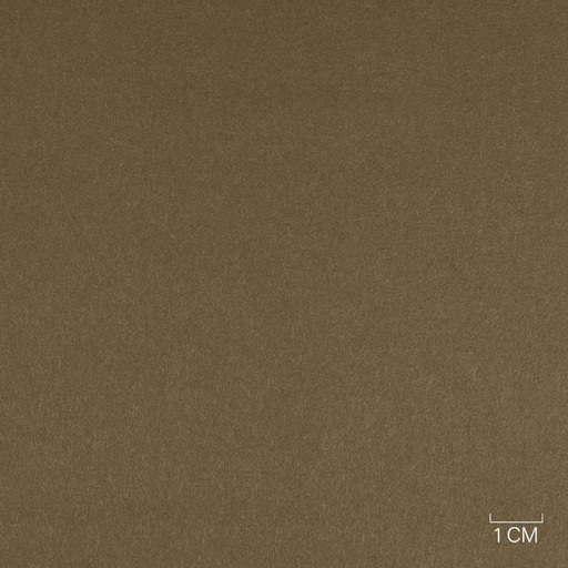 [353820] CAMEL, PLAIN (ST# 30017)