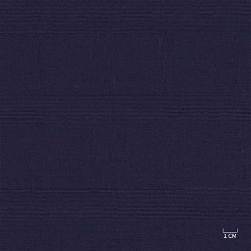 [610305] BLUE, CHECKS (103/05)