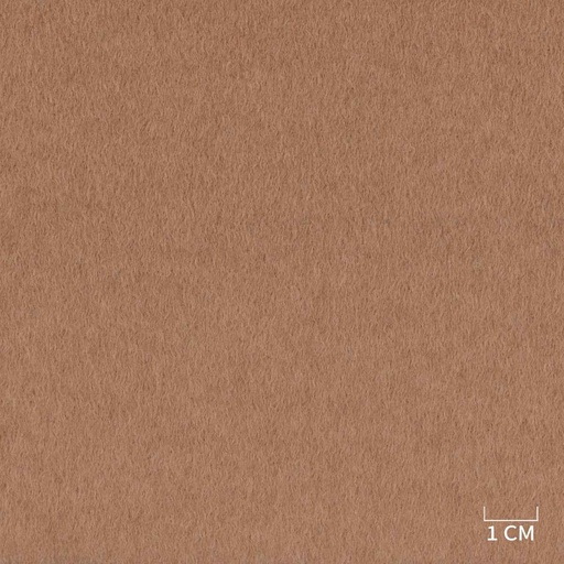 [320234] BROWN,PLAIN (DR# 85134)