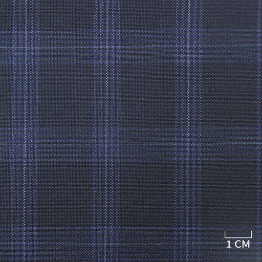 [229102] BLUE, CHECKS