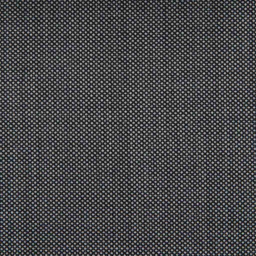 [229157] GREY, BIRDEYE