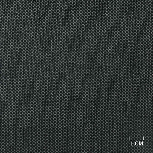 [229158] GREY, BIRDEYE