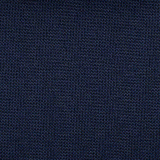 [229160] DARK BLUE, BIRDEYE