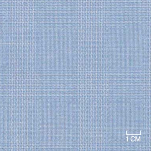 [406101] BLUE,CHECKS (19/27)