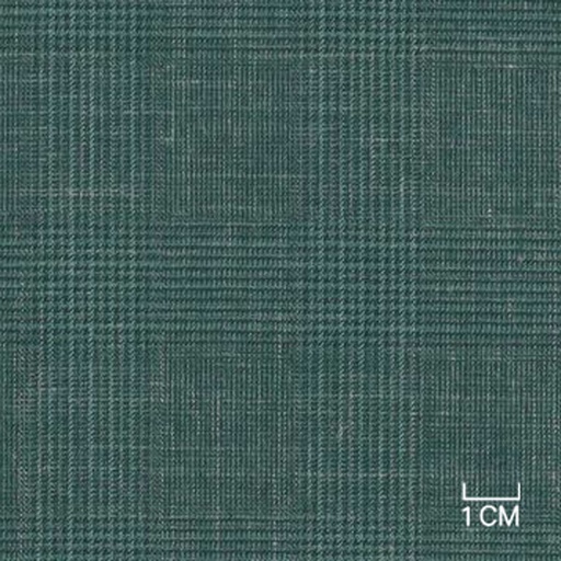 [406110] GREEN,CHECKS (19/36)