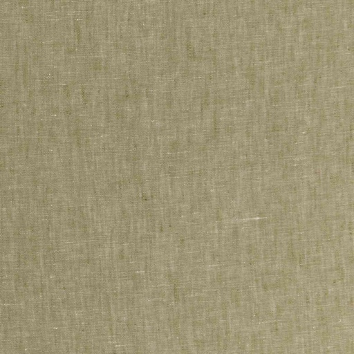 [660705] OLIVE, PLAIN