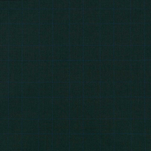 [660116] GREEN,BLUE CHECKS