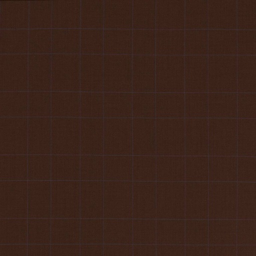 [660118] BROWN,BLUE CHECKS