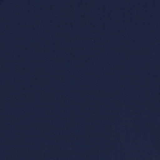 [660134] BLUE,BIRDEYE