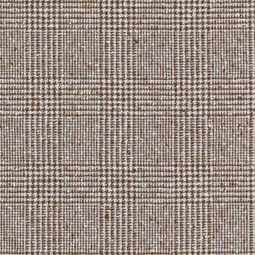 [660237] BROWN, WHITE CHECKS