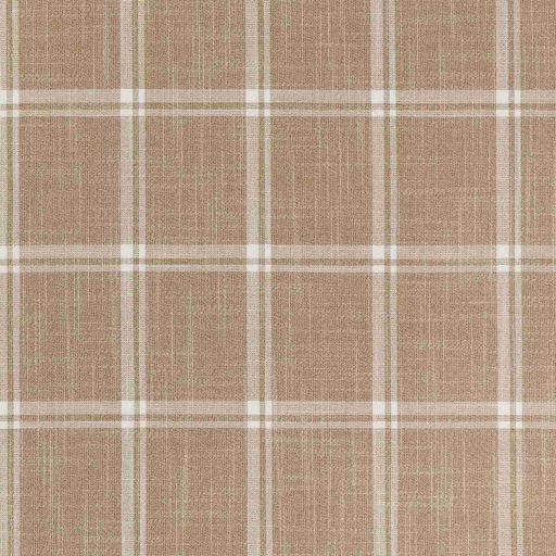 [660327] BROWN,CHECKS