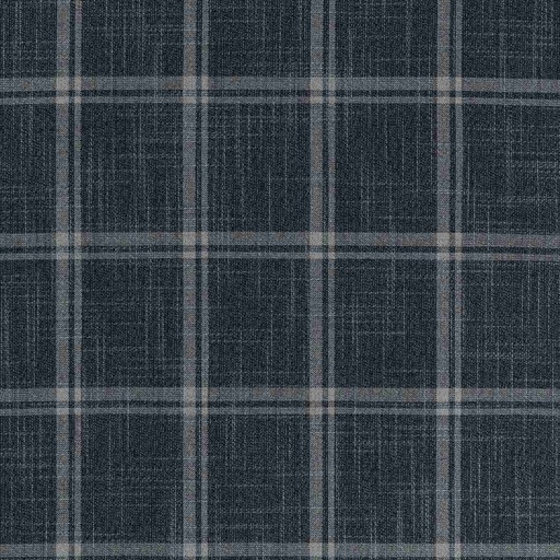 [660330] BLUE,CHECKS