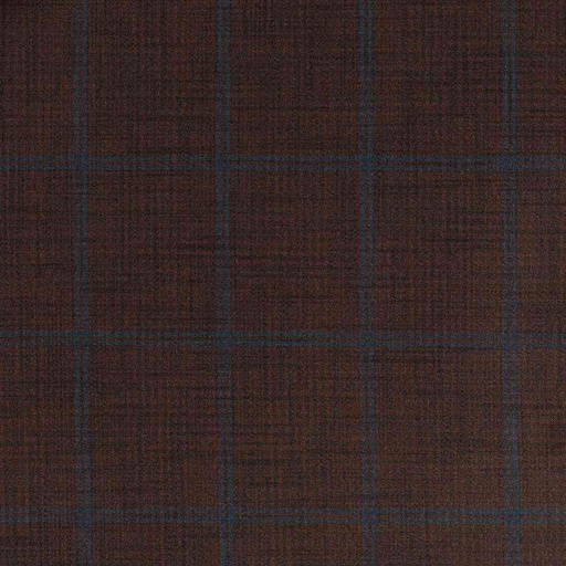 [660333] BROWN,BLUE CHECKS