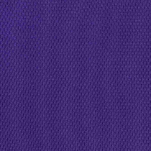 [660612] PURPLE,PLAIN